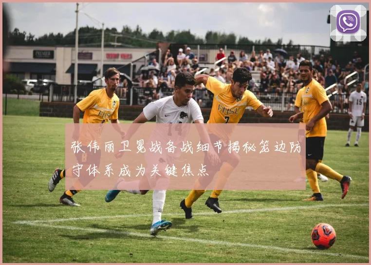 张伟丽卫冕战备战细节揭秘笼边防守体系成为关键焦点